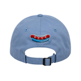 DOGS LIGHT BLUE "DOGS" CHAIN STITCH ADUSTABLE HAT