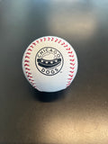 Number One Dad Baseball