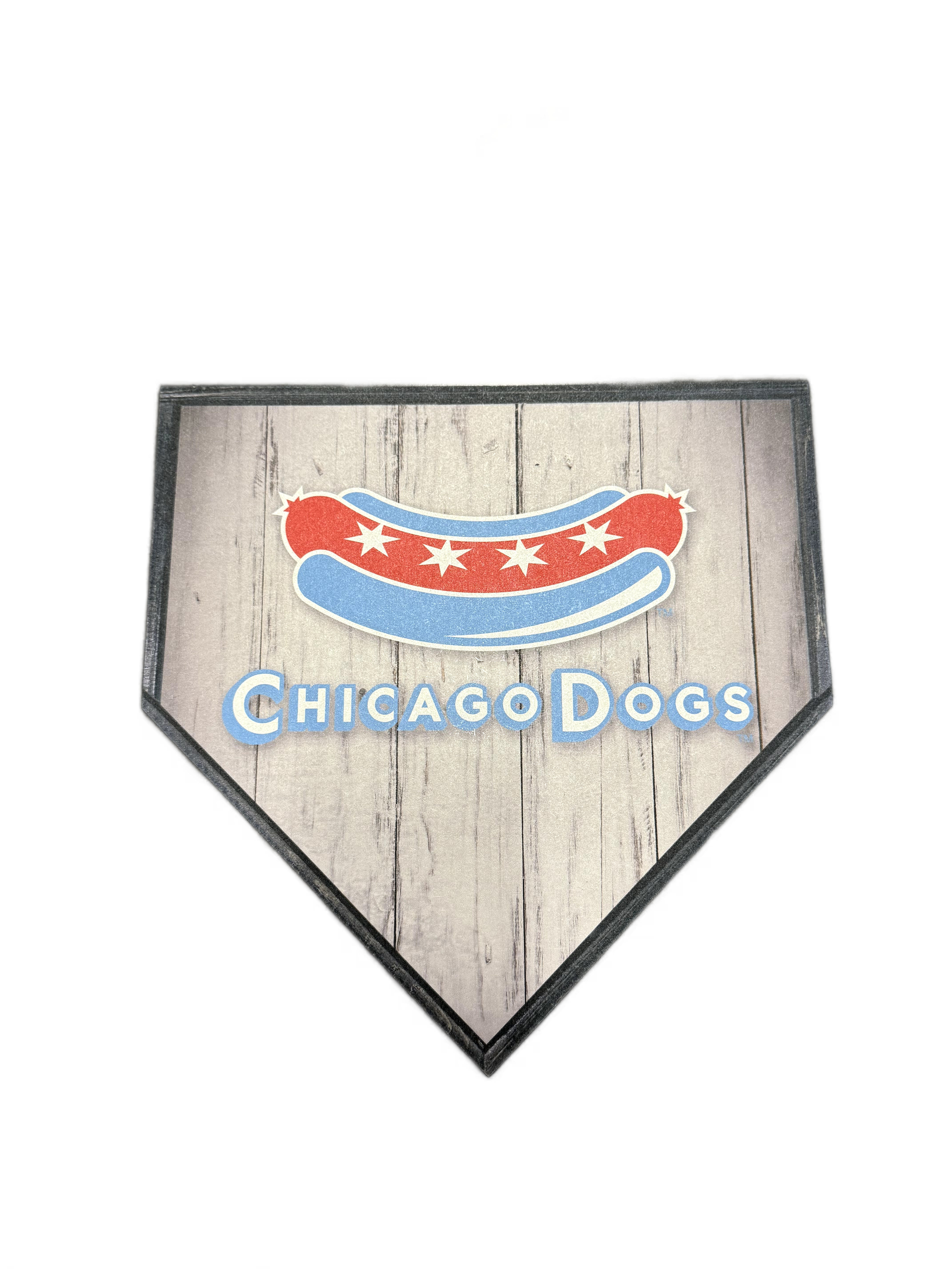 CHICAGO DOG SECONDARY LOGO BASEBALL PLAQUE