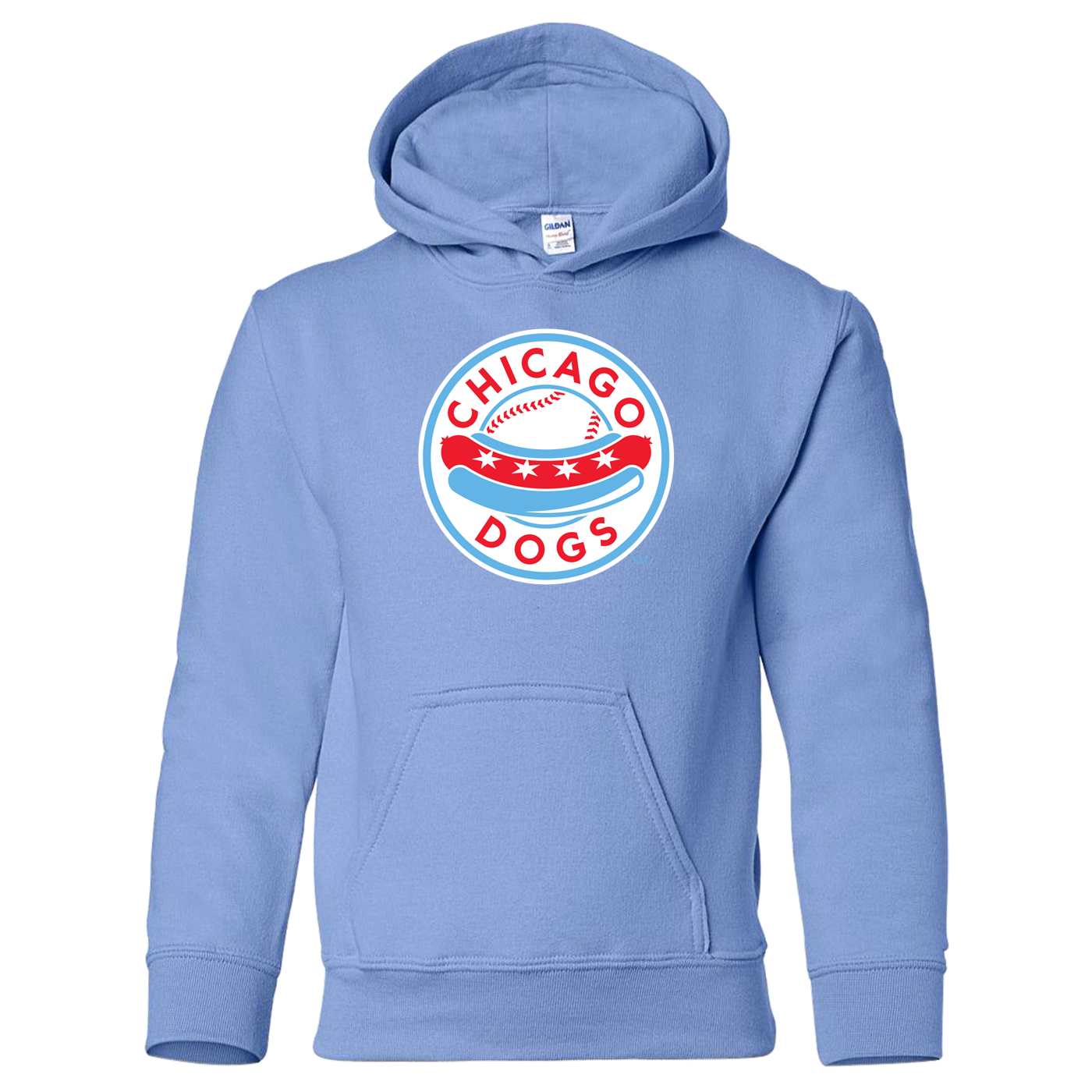 Chicago Dogs Youth Primary Logo Fleece Hoodie - BLUE