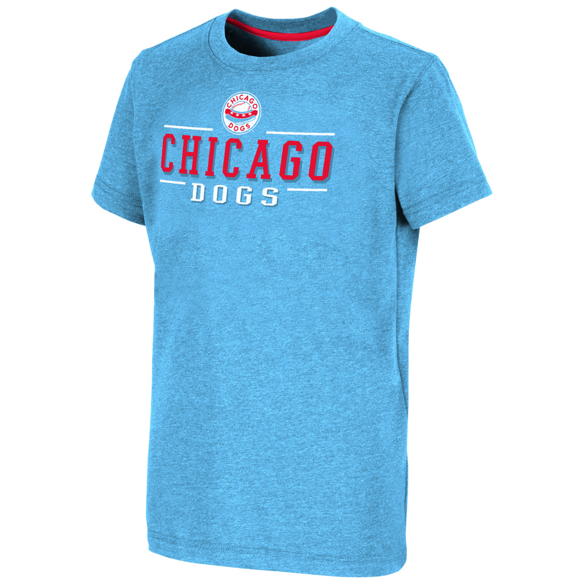 CHICAGO DOGS YOUTH TOONTOWN SHORT SLEEVE TEE SHIRT - LIGHT BLUE – Chicago  Dogs Team Store